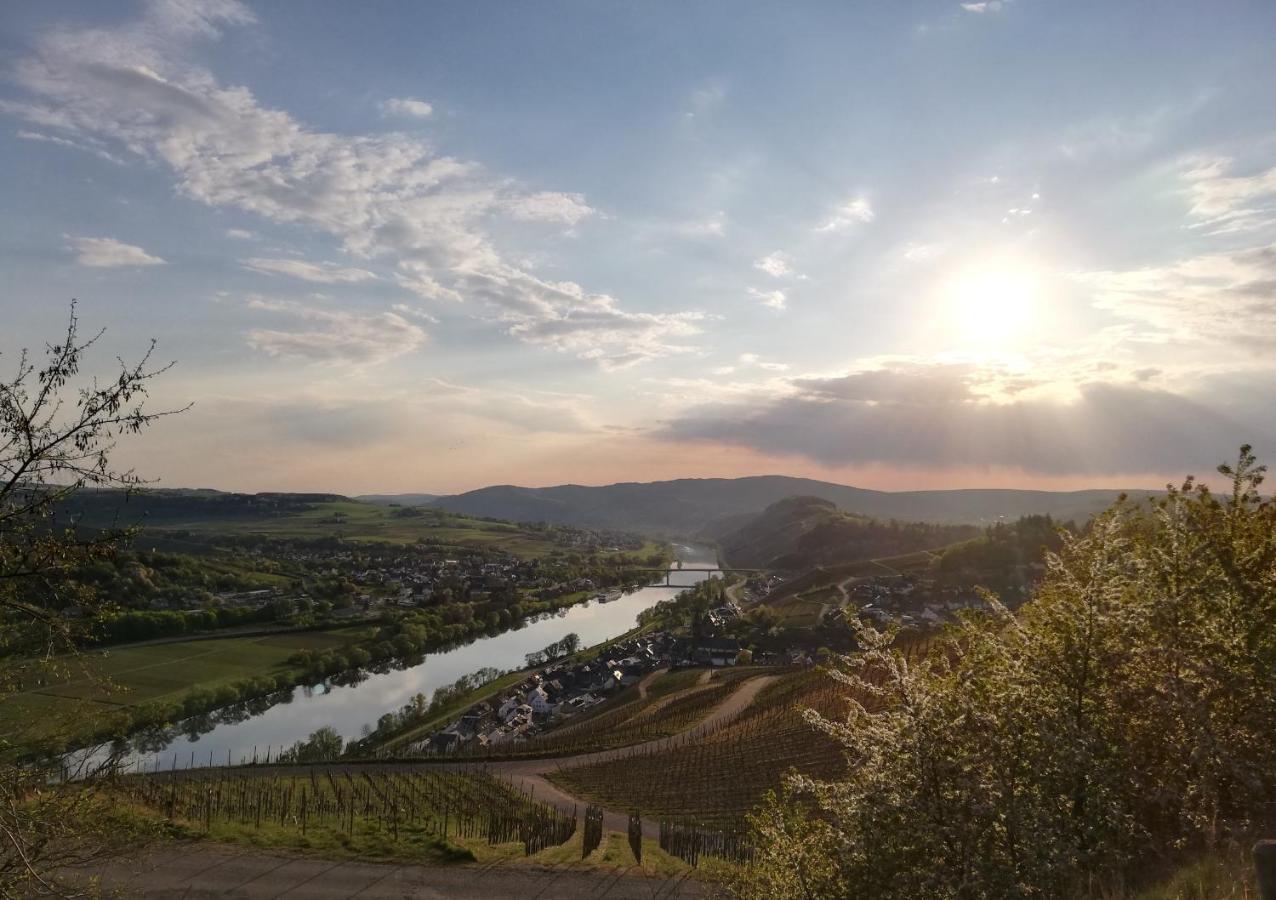 Ferienwohnungen Zum Niederberg ليزا المظهر الخارجي الصورة