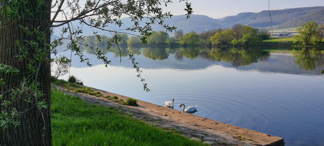 Ferienwohnungen Zum Niederberg ليزا المظهر الخارجي الصورة