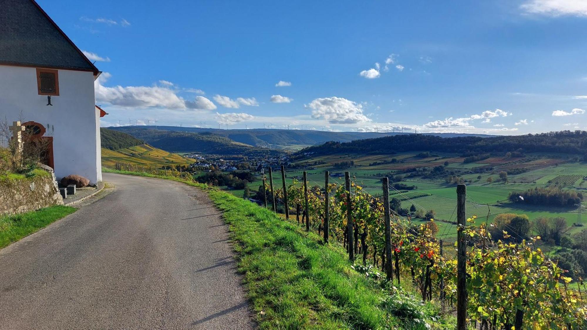 Ferienwohnungen Zum Niederberg ليزا المظهر الخارجي الصورة